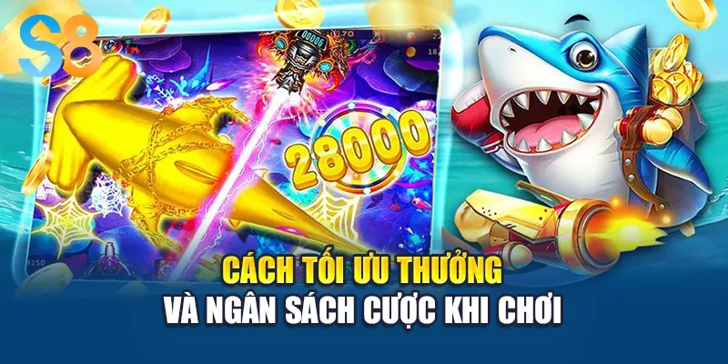 Cách tối ưu thưởng và ngân sách cược khi chơi