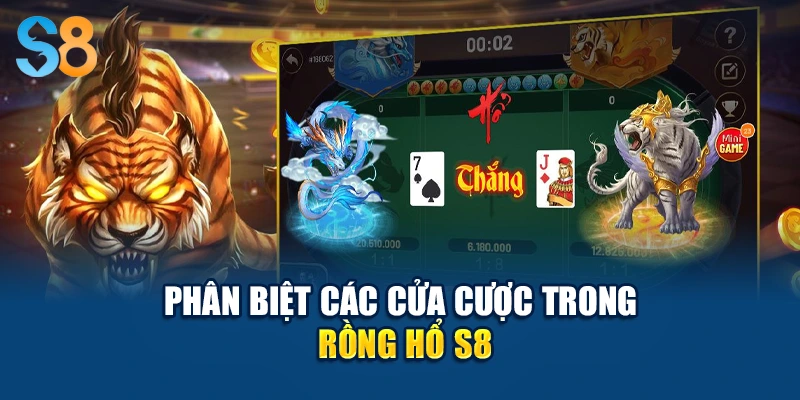 Phân biệt các cửa cược trong Rồng Hổ S8